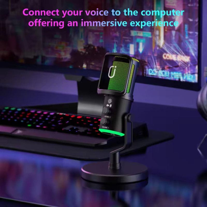 NeePho NP-M02 Podcast Condenser Microphone