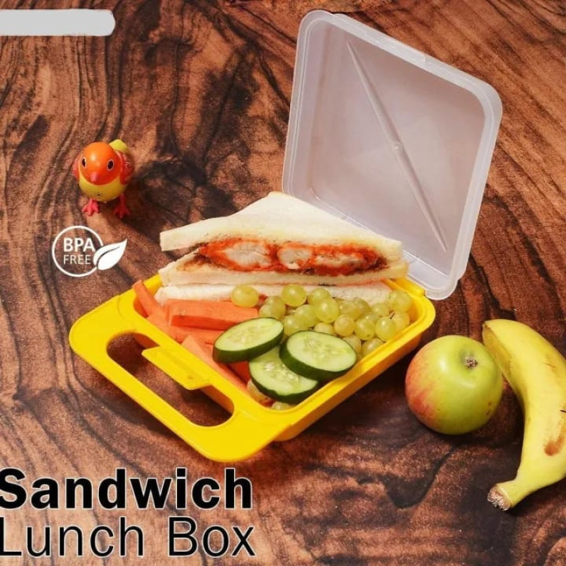 Compact Sandwich-Sized Insulated Kids Lunch Box