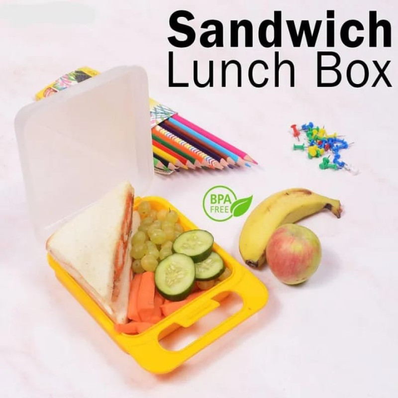 Compact Sandwich-Sized Insulated Kids Lunch Box